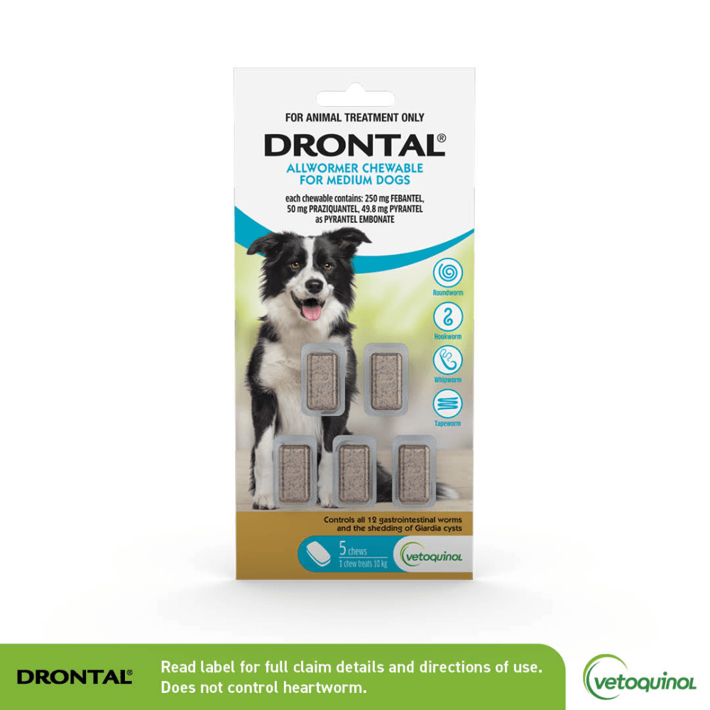drontal-dog-allwormer-chewable-10kg