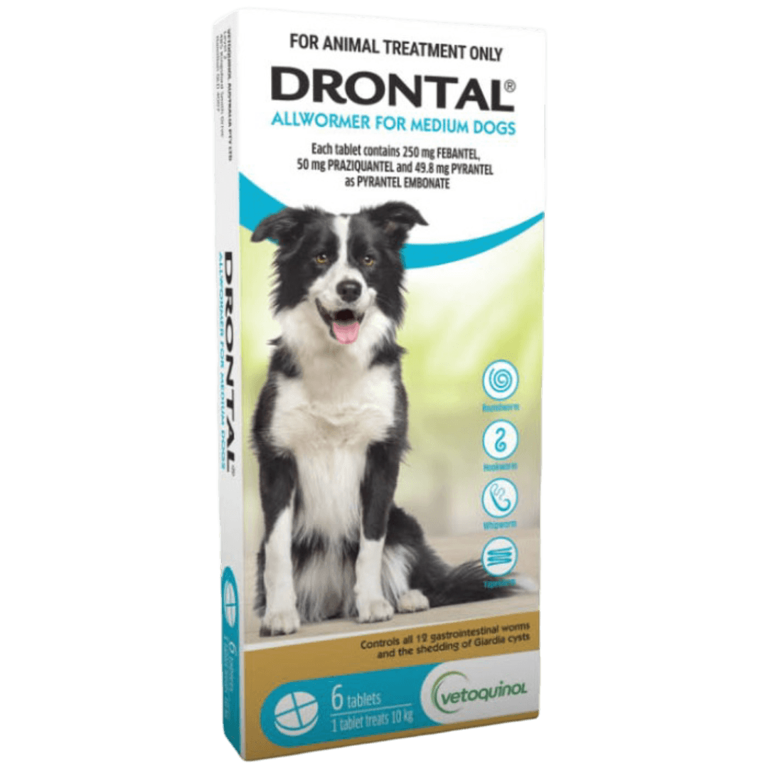 drontal-dog-allwormer-tablet-10kg