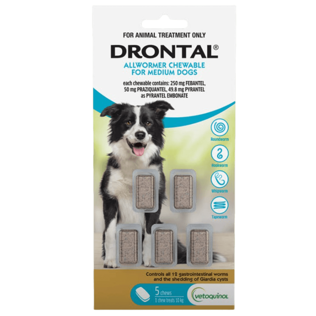 drontal-dog-allwormer-chewable-10kg