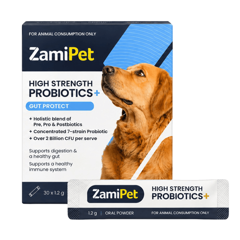 Dog High Strength Probiotics Plus Gut Protect