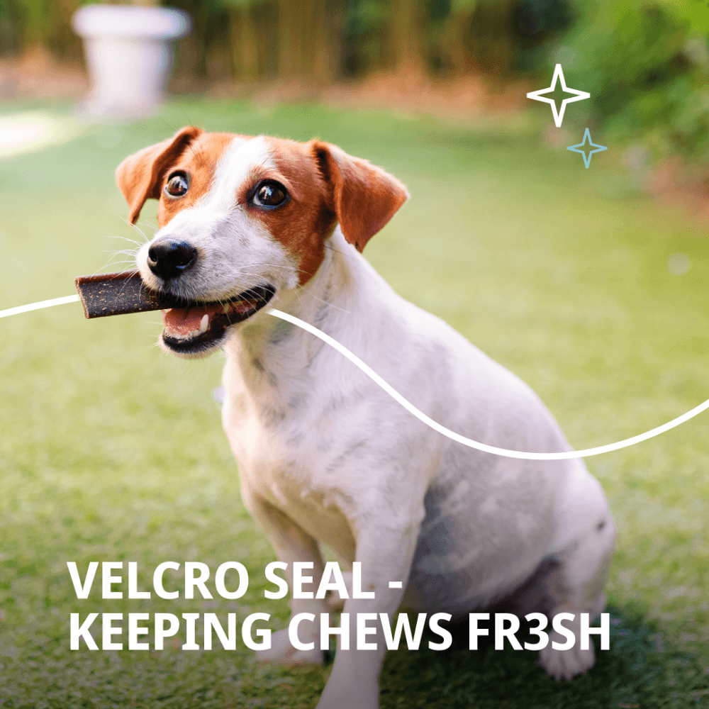 VeggieDent FR3SH Small Dog Dental Treats