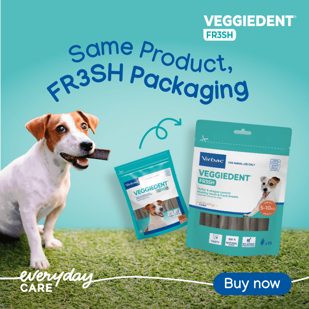 VeggieDent FR3SH Small Dog Dental Treats