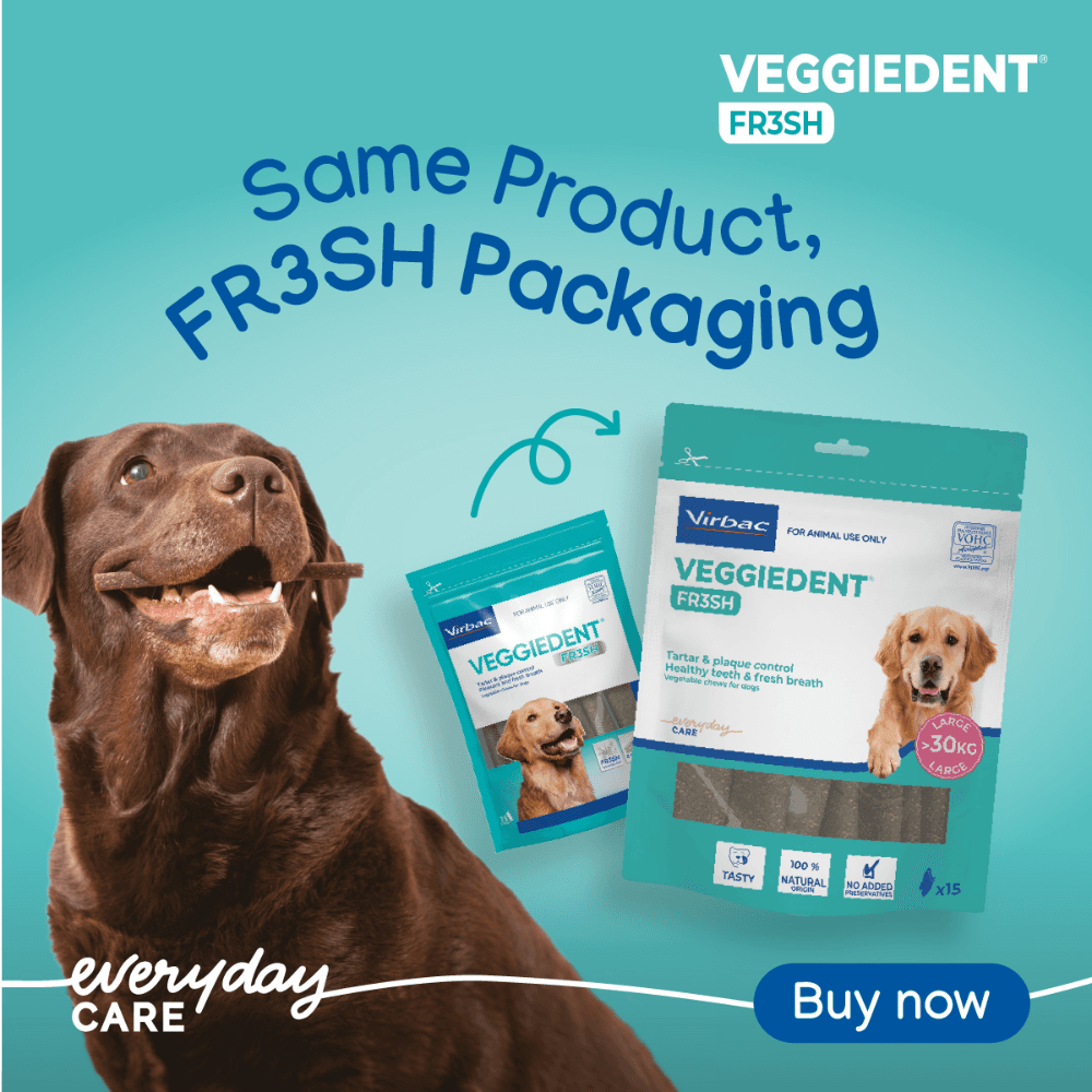 VeggieDent FR3SH Large Dog Dental Treats