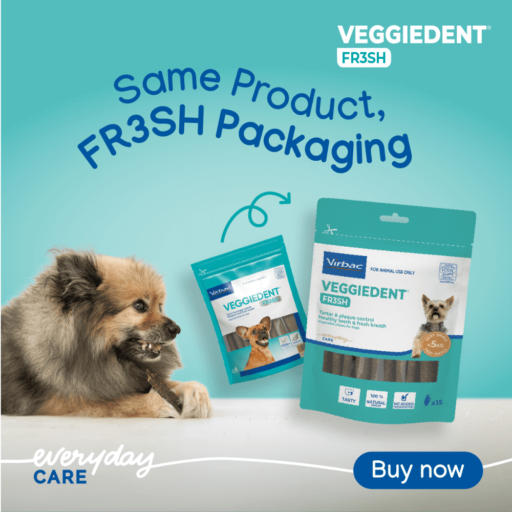 VeggieDent FR3SH Extra Small Dog Dental Treats