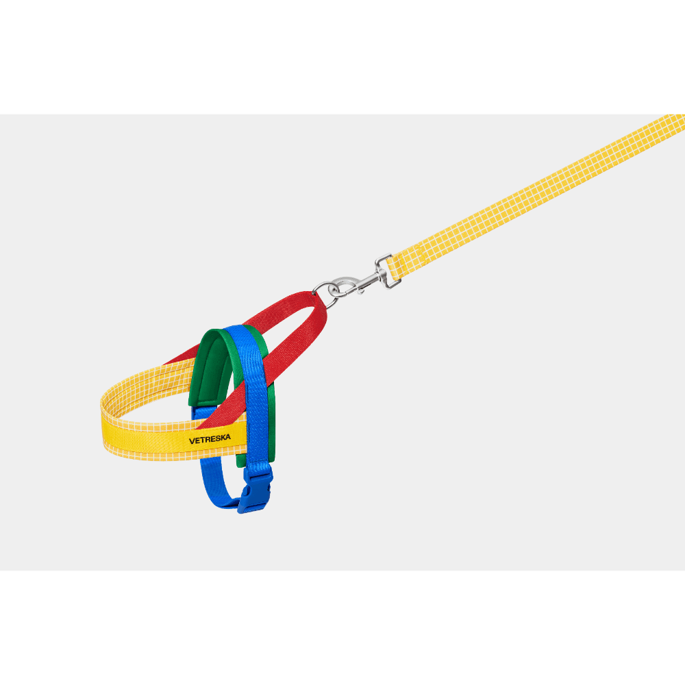 vetreska-dog-harness-and-lead-set-chroma