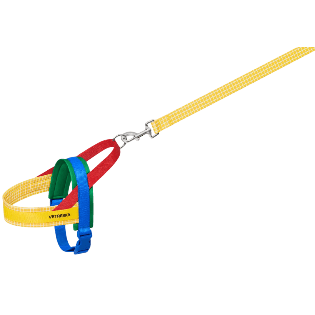vetreska-dog-harness-and-lead-set-chroma