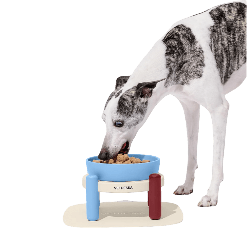vetreska-elevated-pet-bowl-and-mat-set-mist-and-merlot