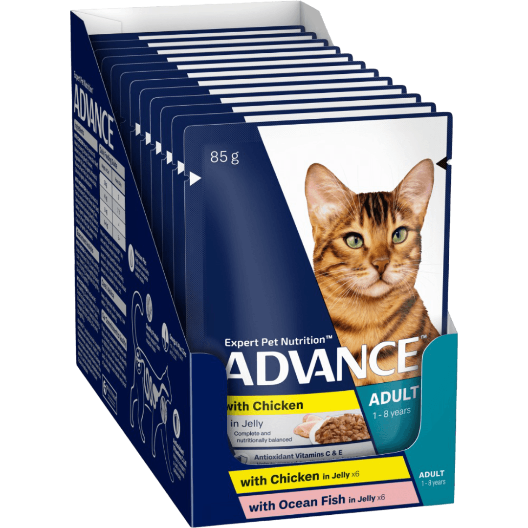 advance-adult-ocean-fish-with-chicken-and-turkey-in-jelly-wet-cat-food-pouches