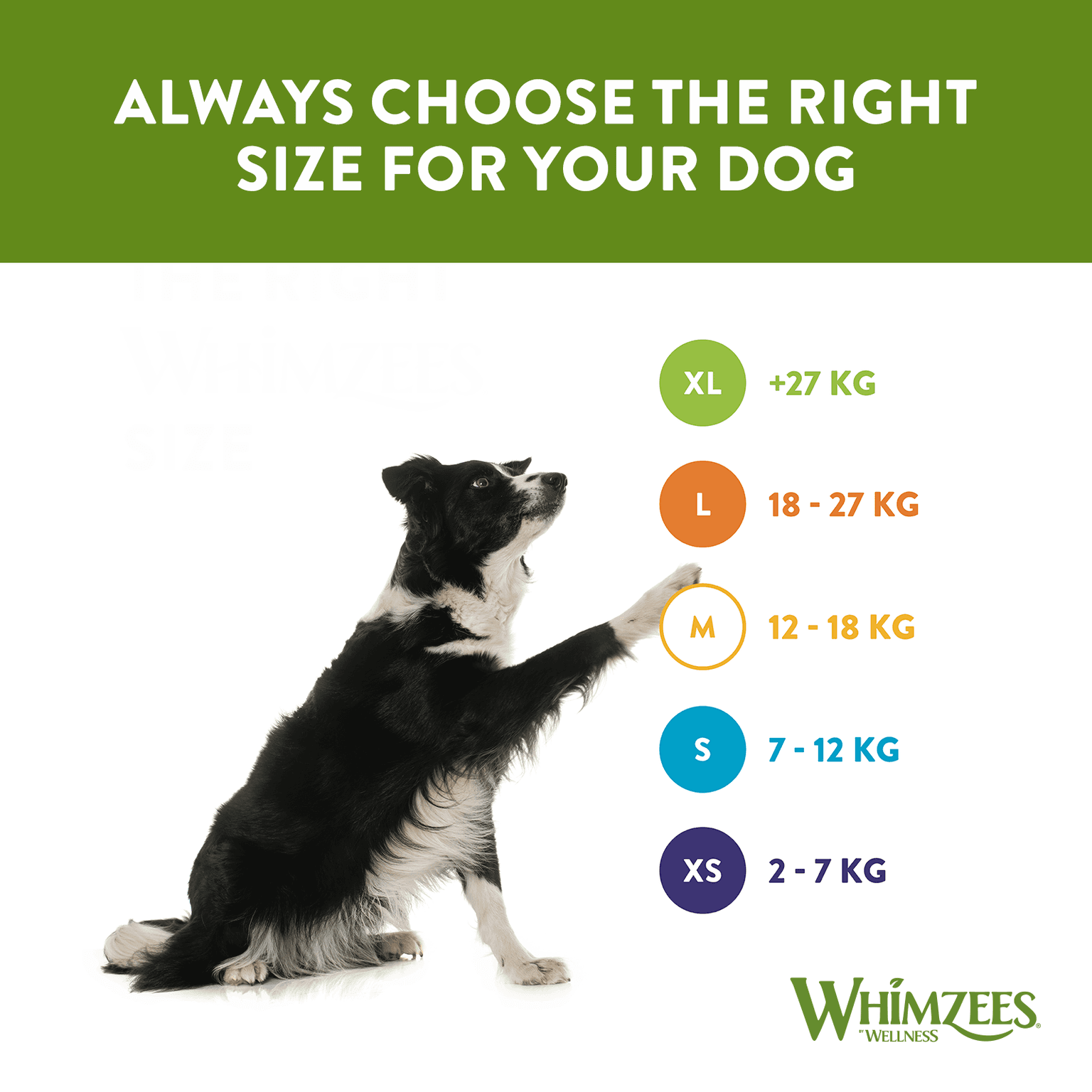 Whimzees Alligator Medium Dental Dog Treats