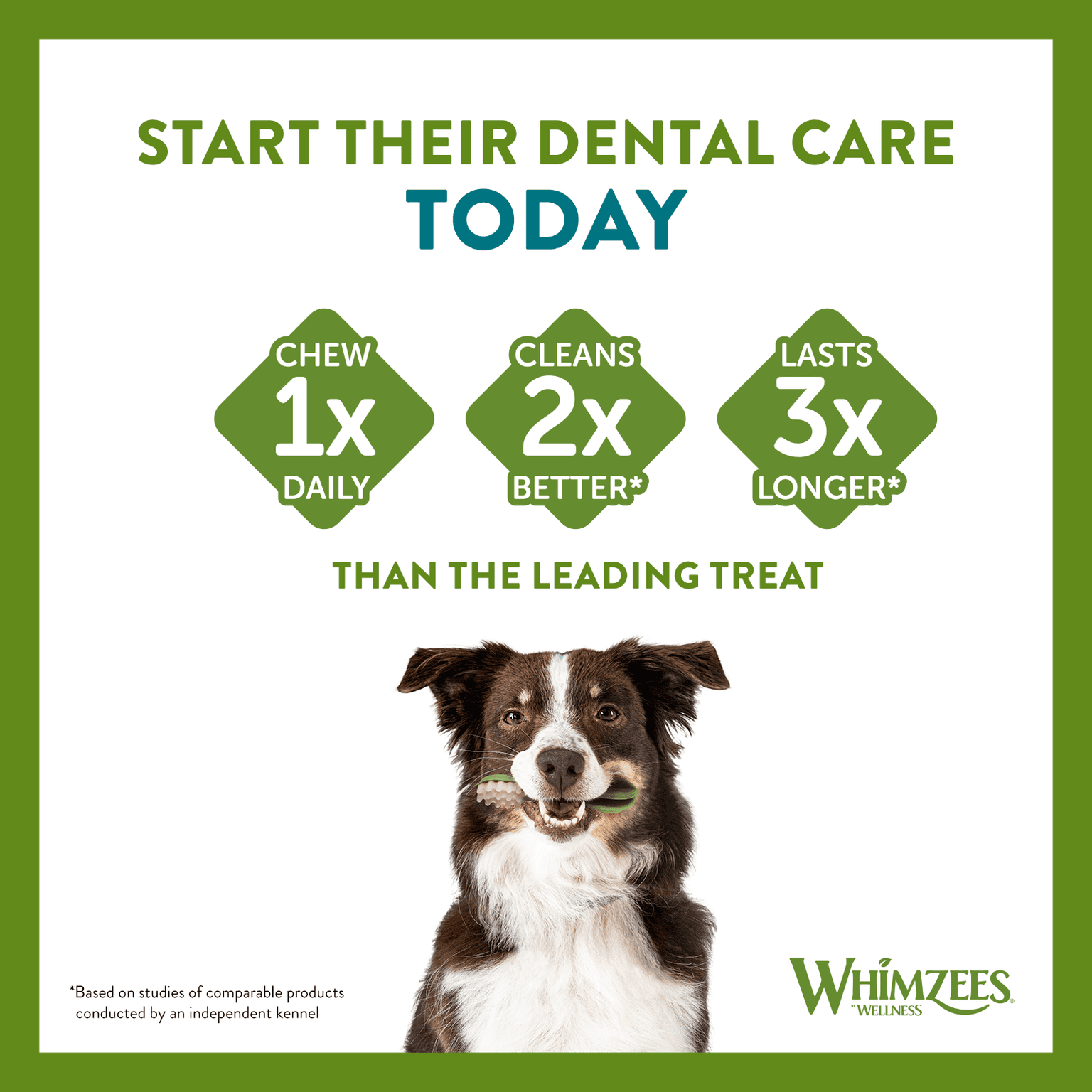 Whimzees Alligator Medium Dental Dog Treats