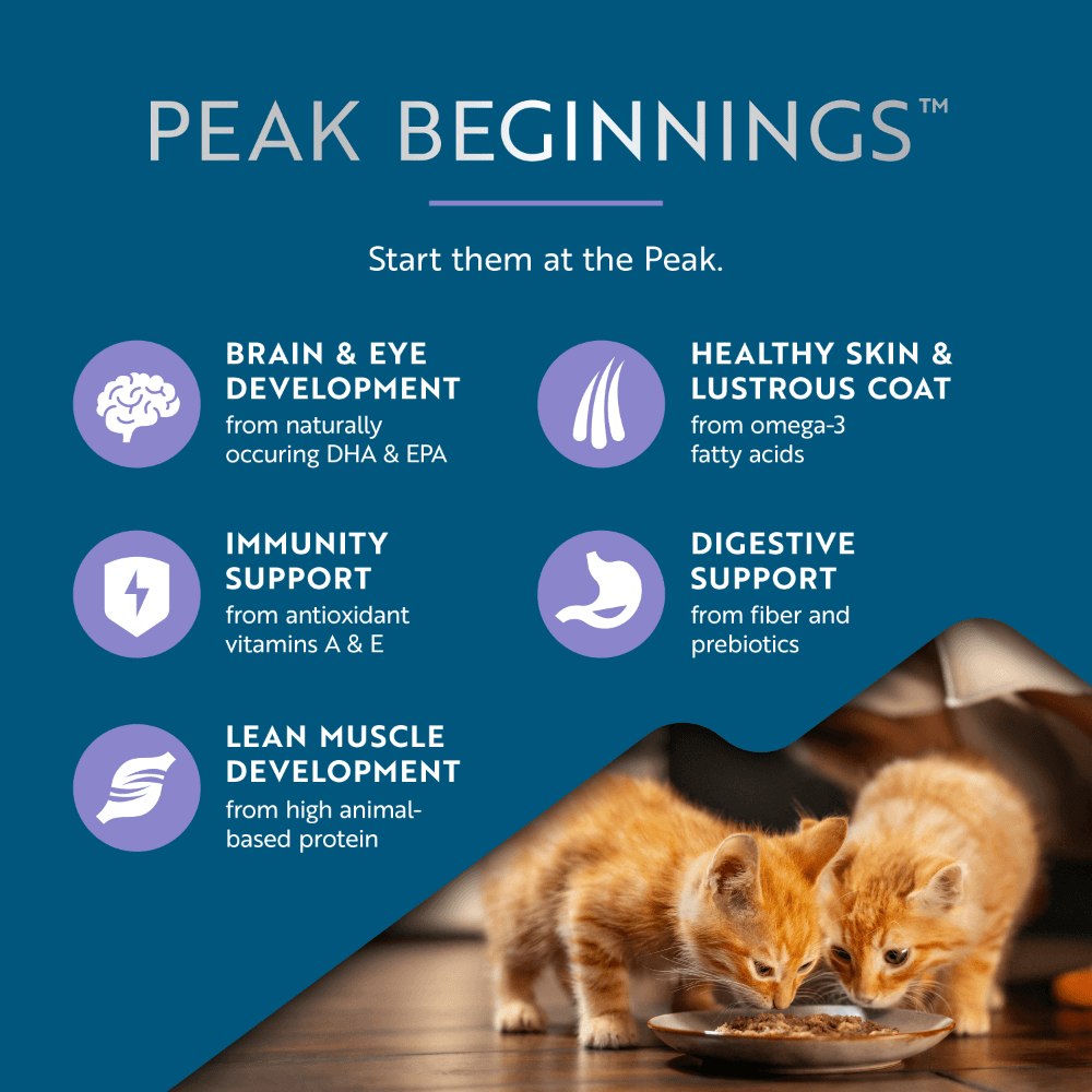 Ziwi Beef with Mackerel Recipe Kitten Wet Cat Food Cans