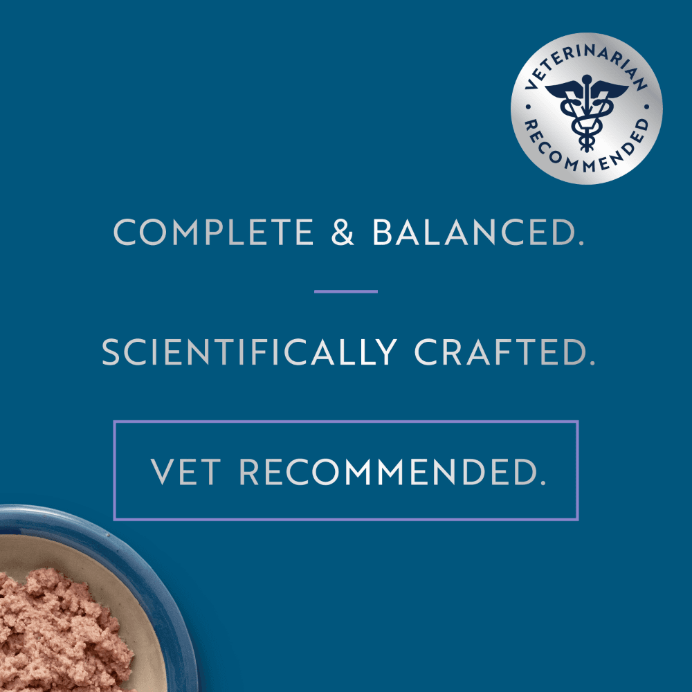 Ziwi Chicken with Lamb Recipe Kitten Wet Cat Food Cans