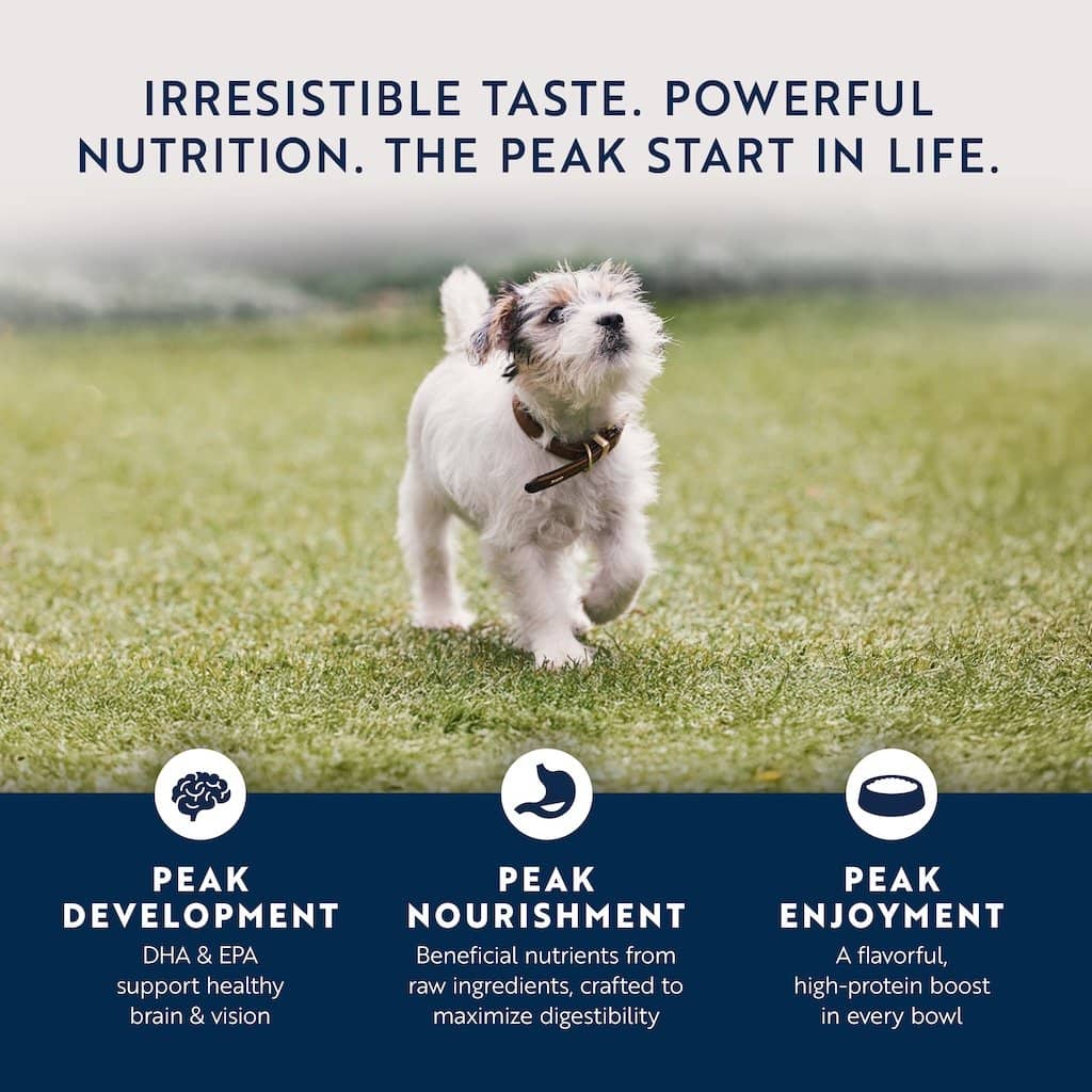 Ziwi Chicken with Lamb Puppy Wet Dog Food Cans
