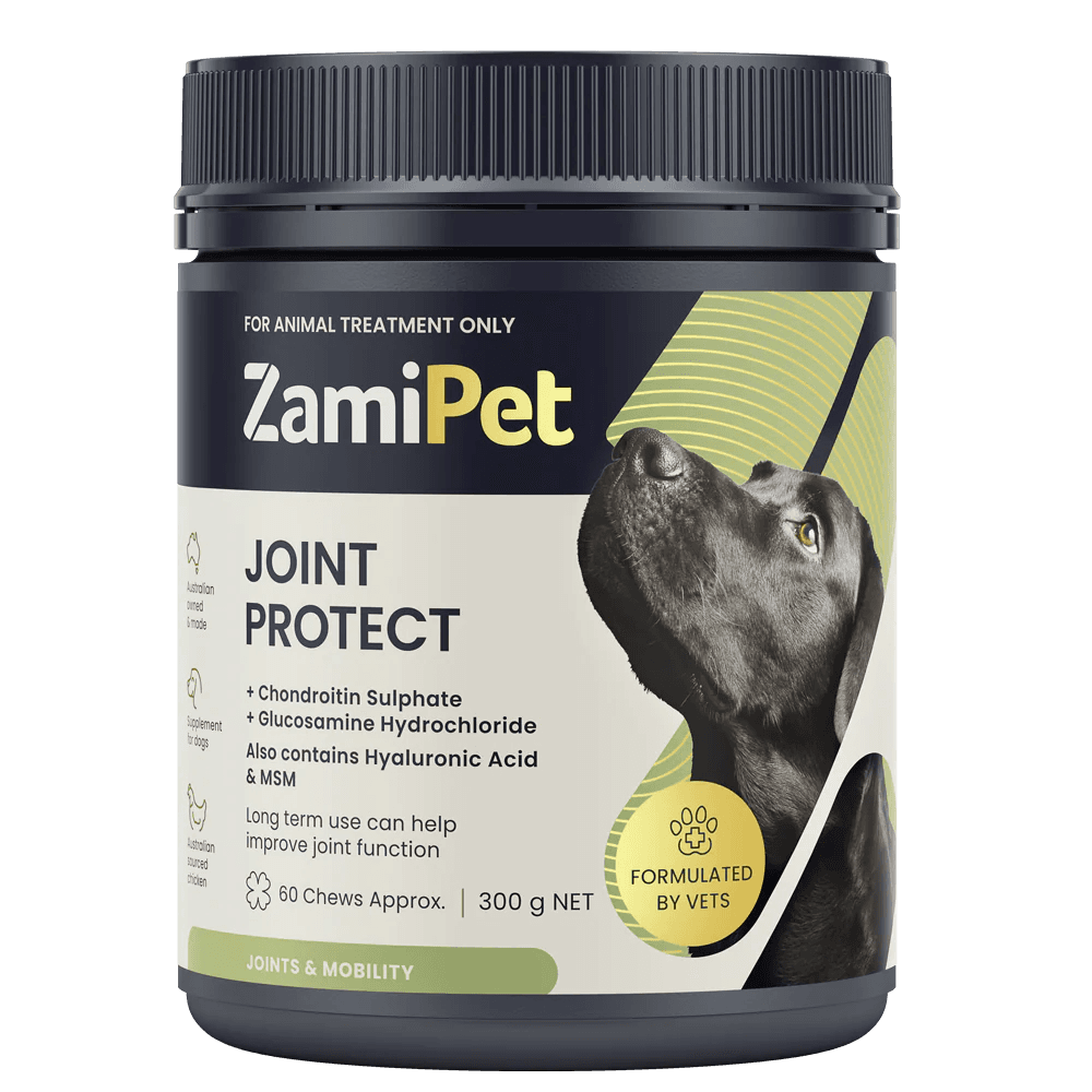 Joint Protect Chews for Dogs