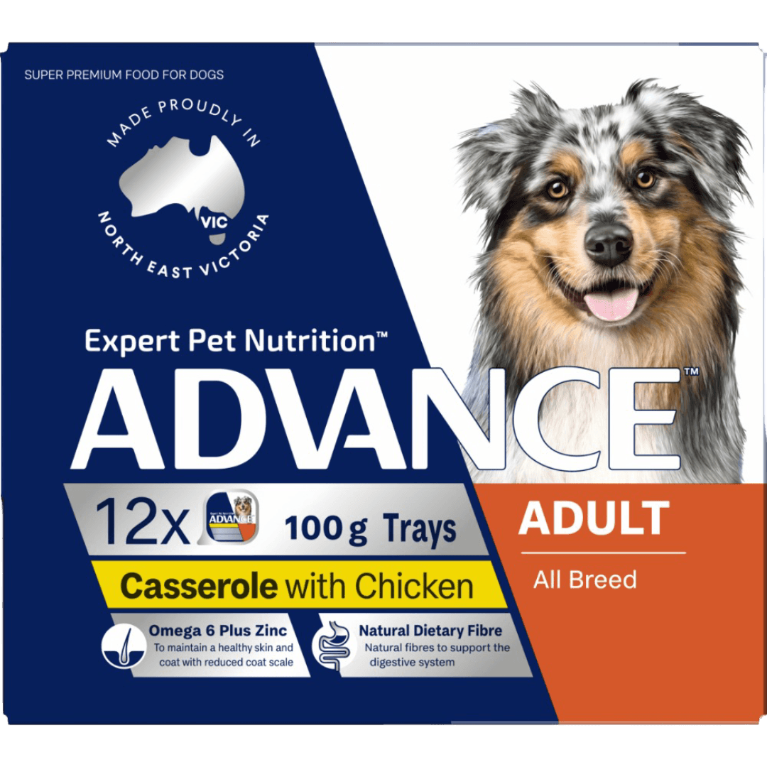 advance-adult-single-serve-chicken-casserole-wet-dog-food-trays