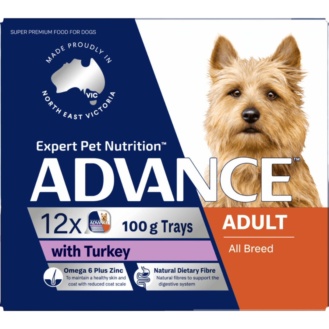 advance-adult-single-serve-turkey-wet-dog-food-trays