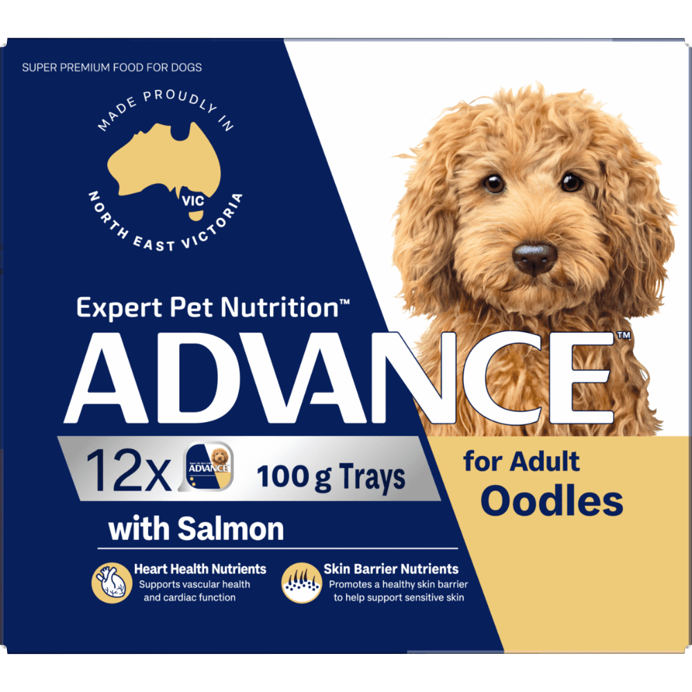 advance-adult-single-serve-oodles-wet-dog-food-trays