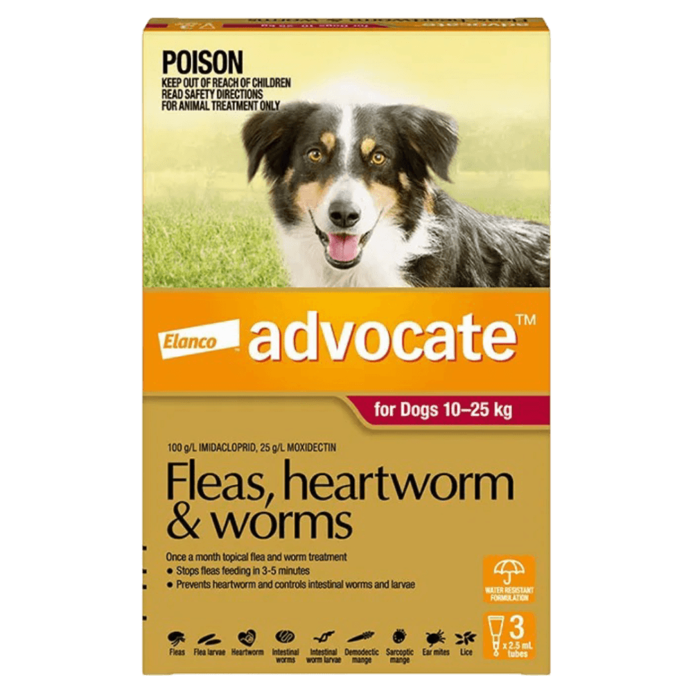 advocate-dog-large-red