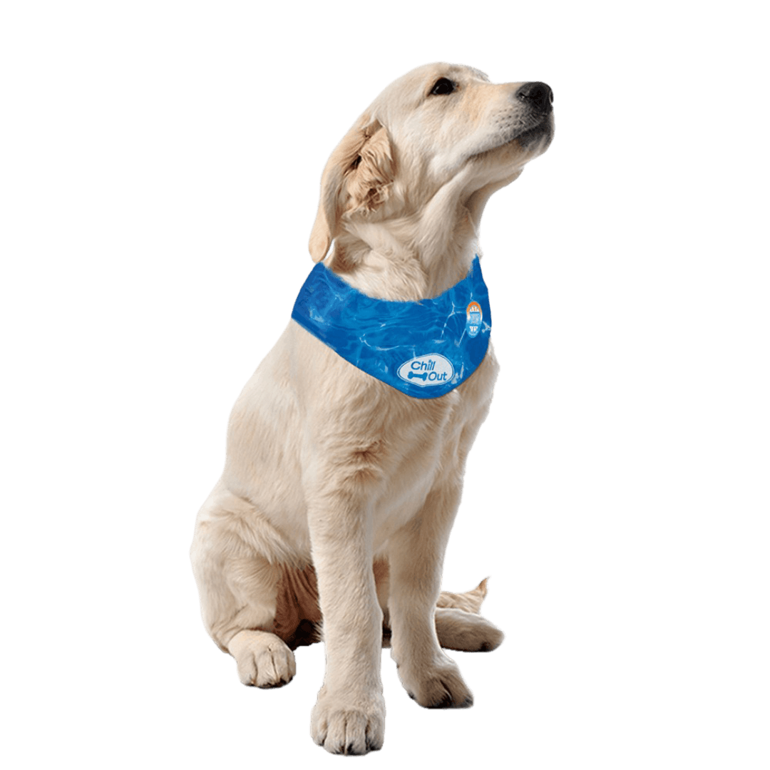 afp-chill-out-bandana