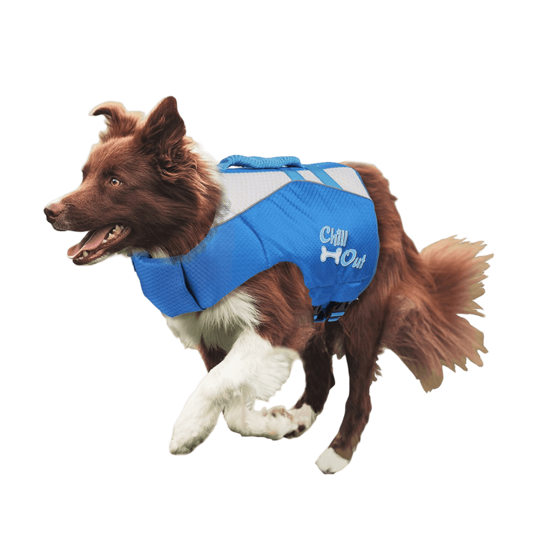 afp-chill-out-dog-lifejacket