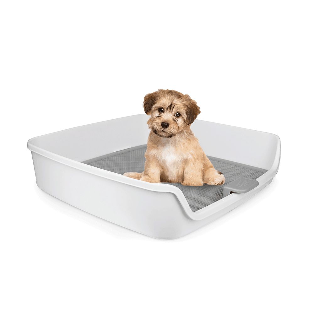 afp-go-fresh-dog-pee-pad-holder