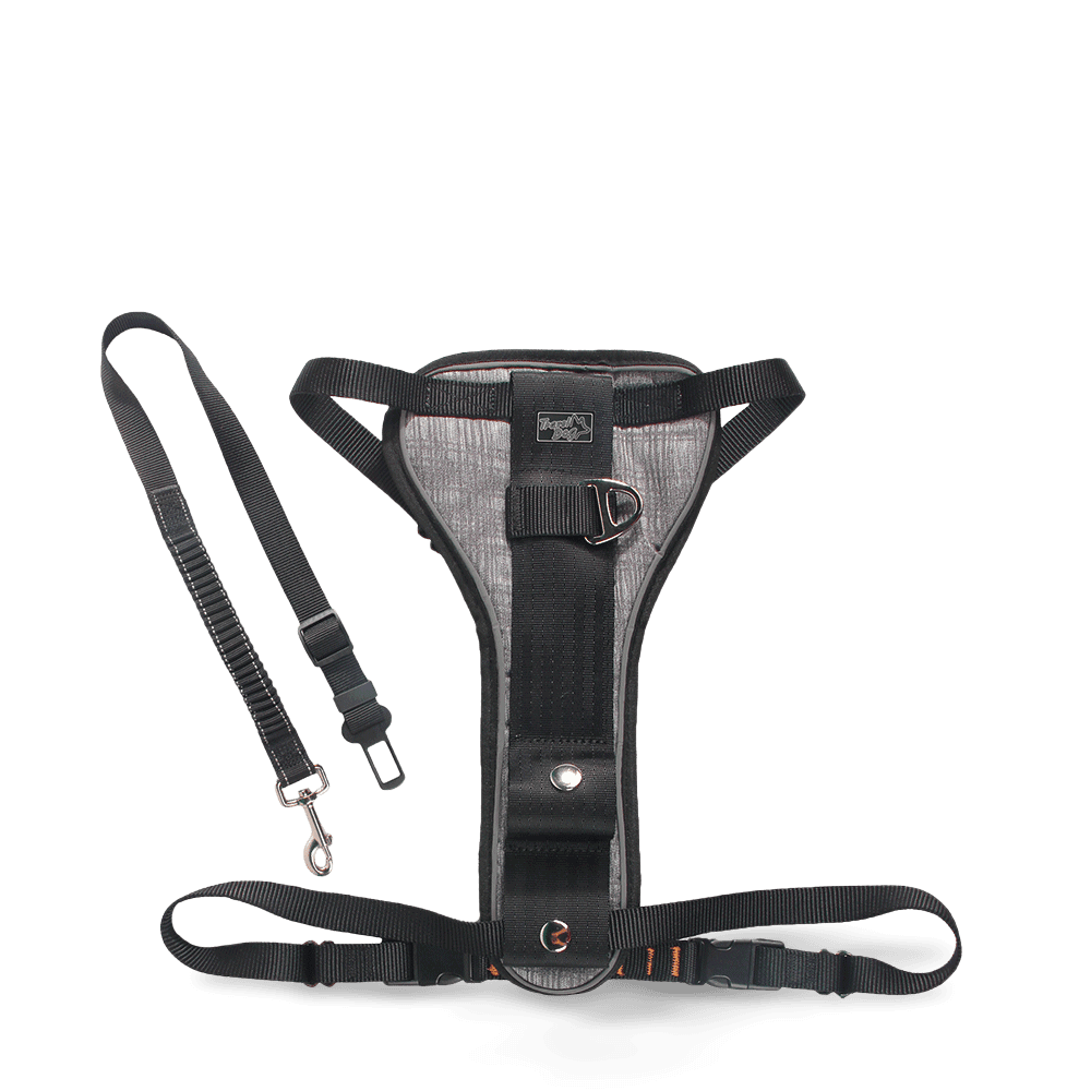 afp-travel-car-seat-harness