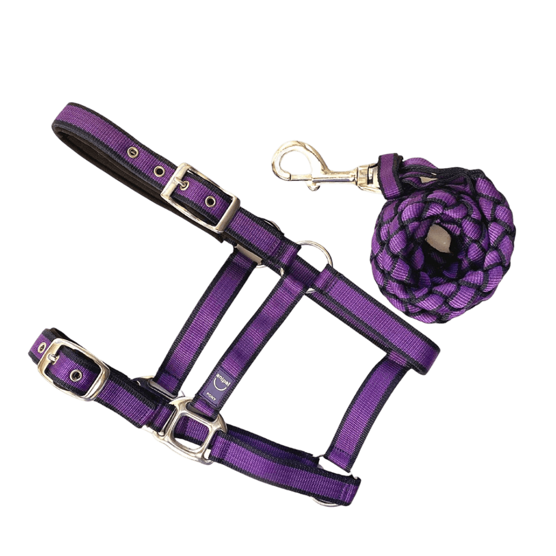 anipal-comfort-horse-halter-and-lead-autumn-lilac