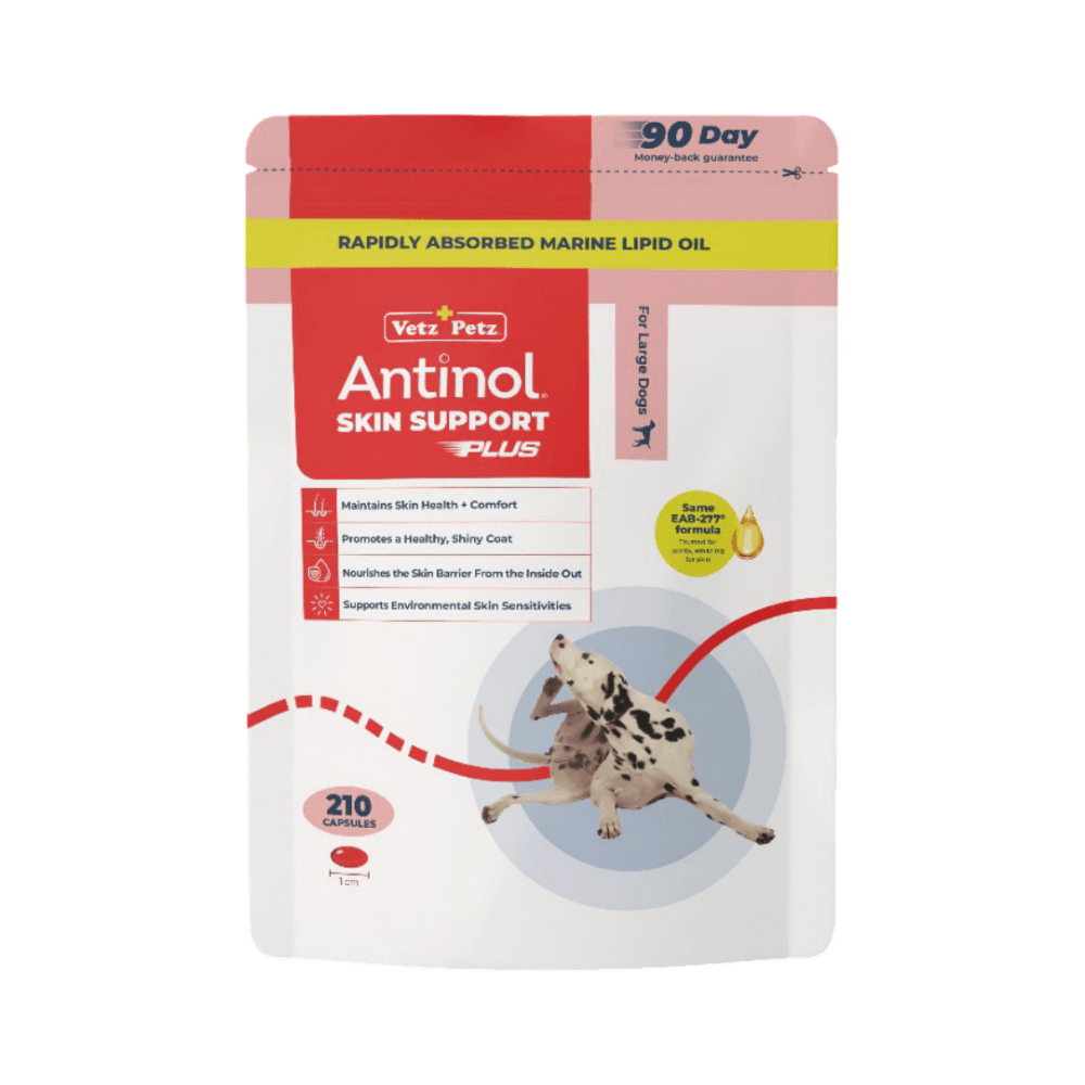 antinol-skin-support-capsules-for-large-breed-dogs