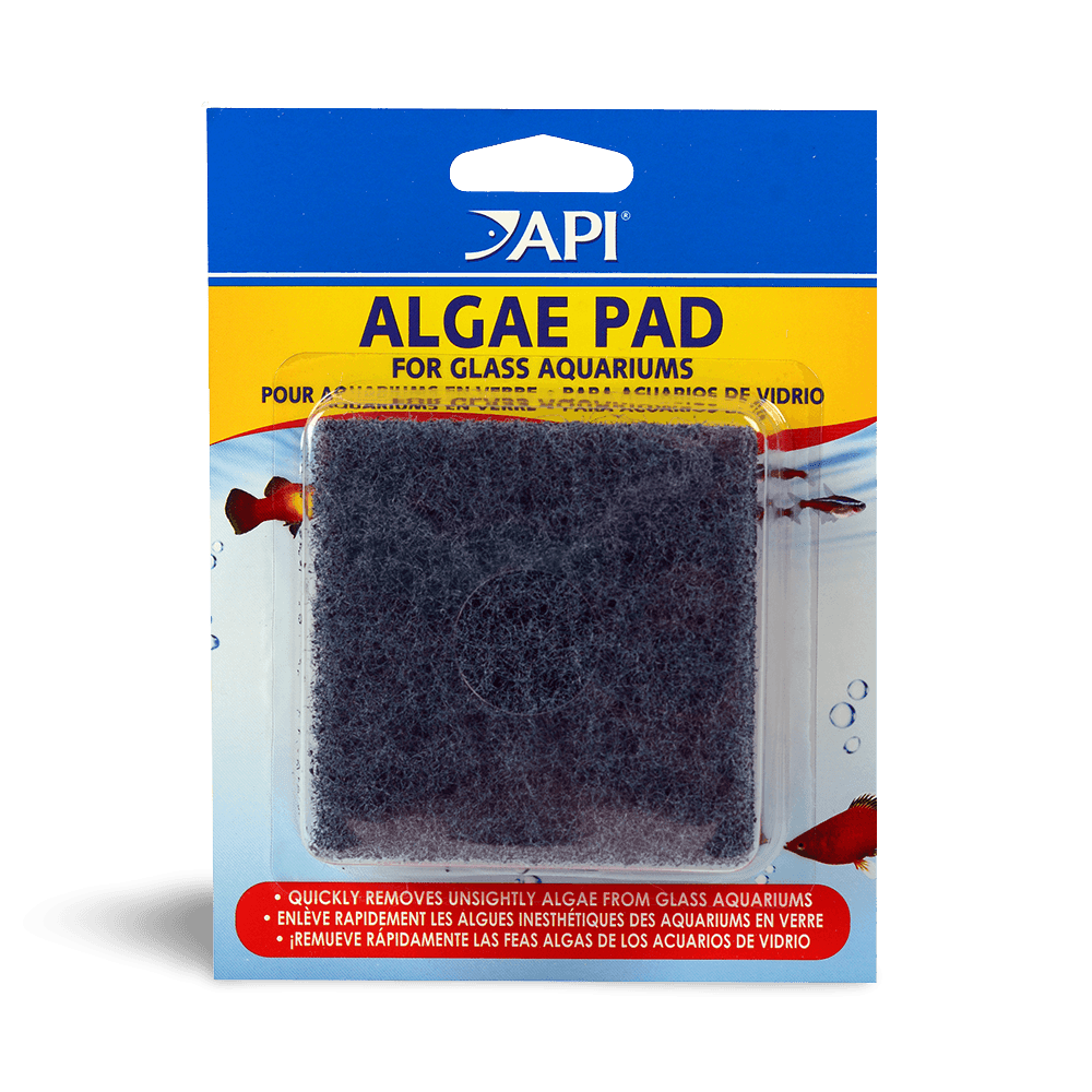 api-hand-held-algae-pad-for-glass