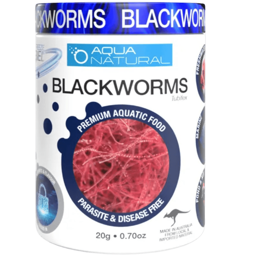 aqua-naturals-freeze-dried-blackworms-fish-food