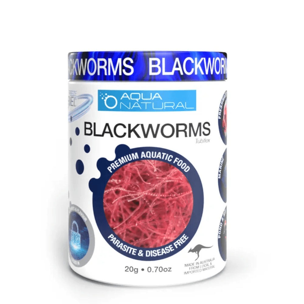 aqua-naturals-freeze-dried-blackworms-fish-food