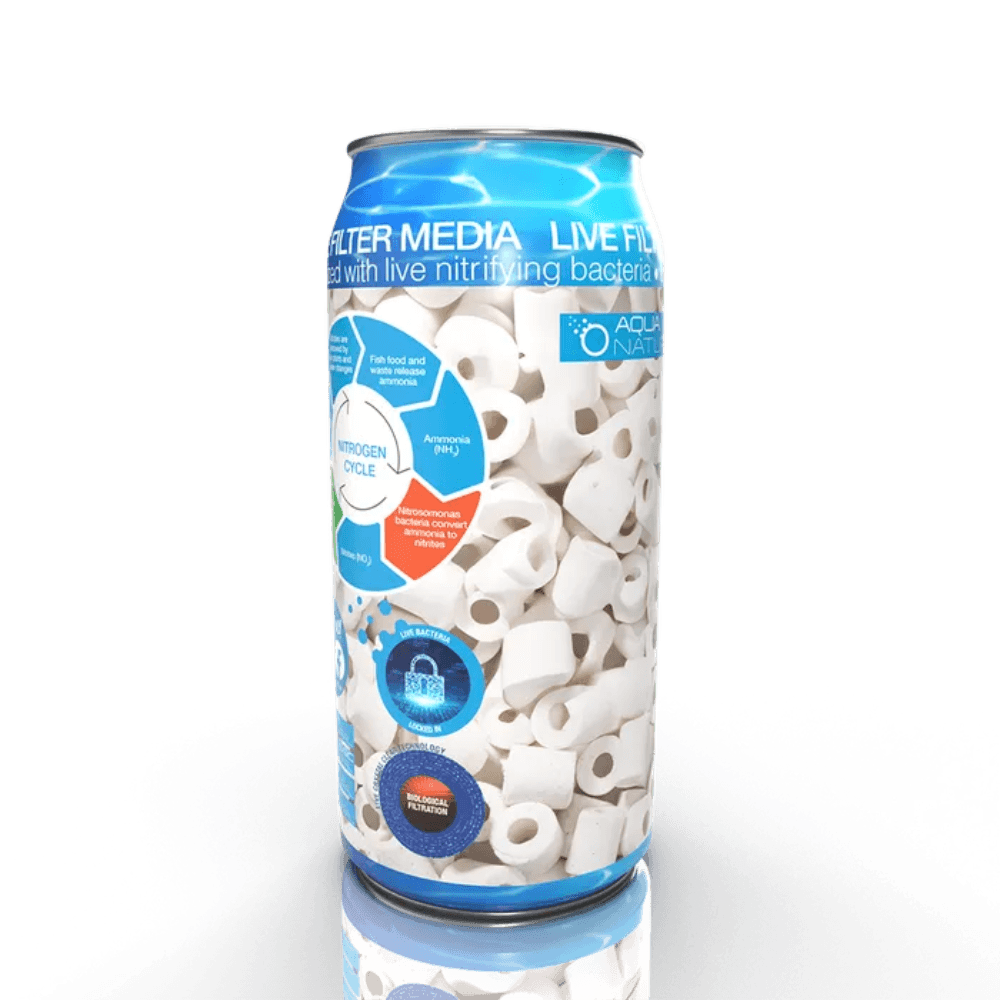 aqua-naturals-live-quartz-rings