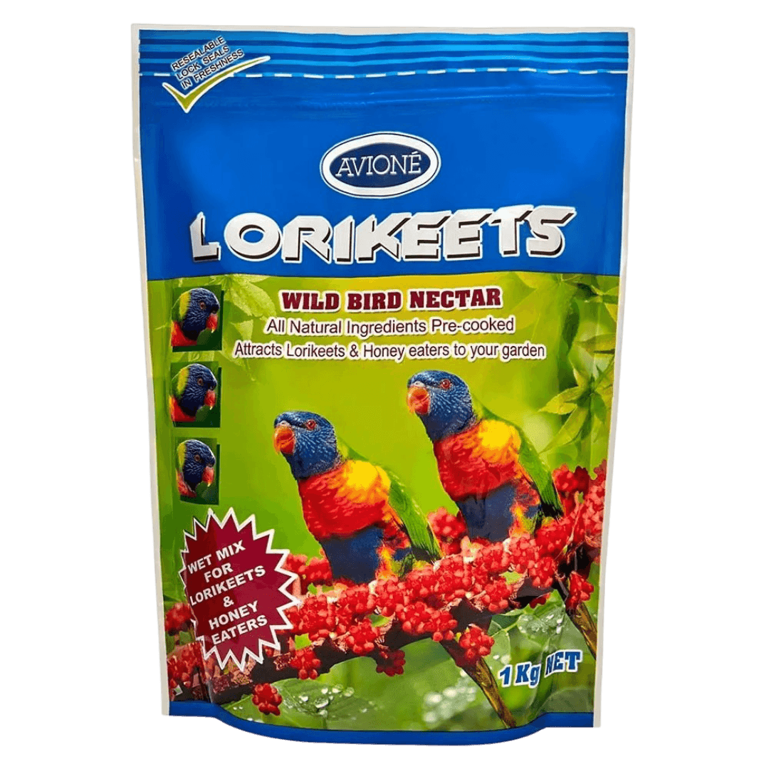 avione-lorikeets-wild-bird-nectar