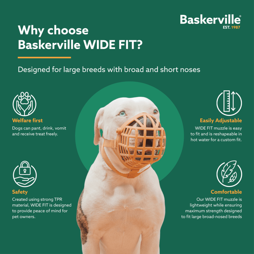 Baskerville Wide Fit Muzzle Dog Beige