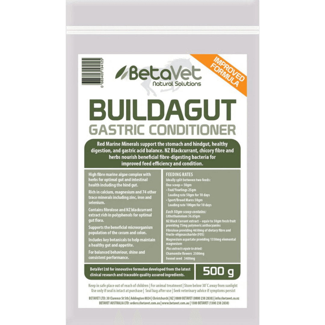 betavet-buildagut-digestive-microbiome-support-for-horses-and-ponies
