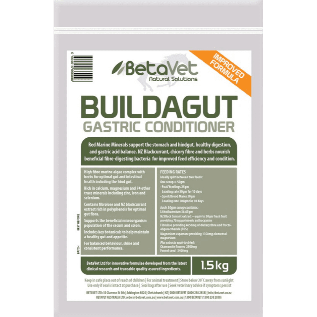 betavet-buildagut-digestive-microbiome-support-for-horses-and-ponies