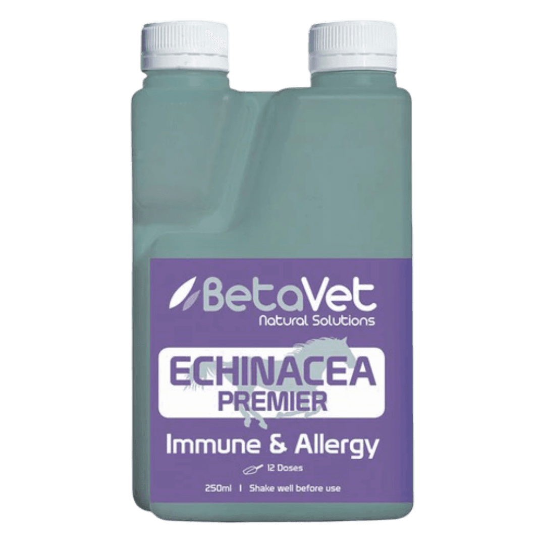 betavet-echinacea-herbal-immune-support-supplement-for-horses