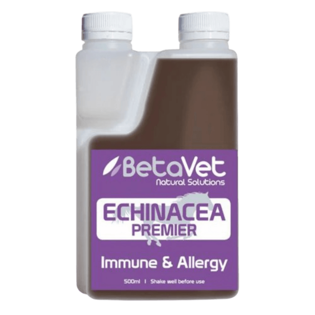 betavet-echinacea-herbal-immune-support-supplement-for-horses