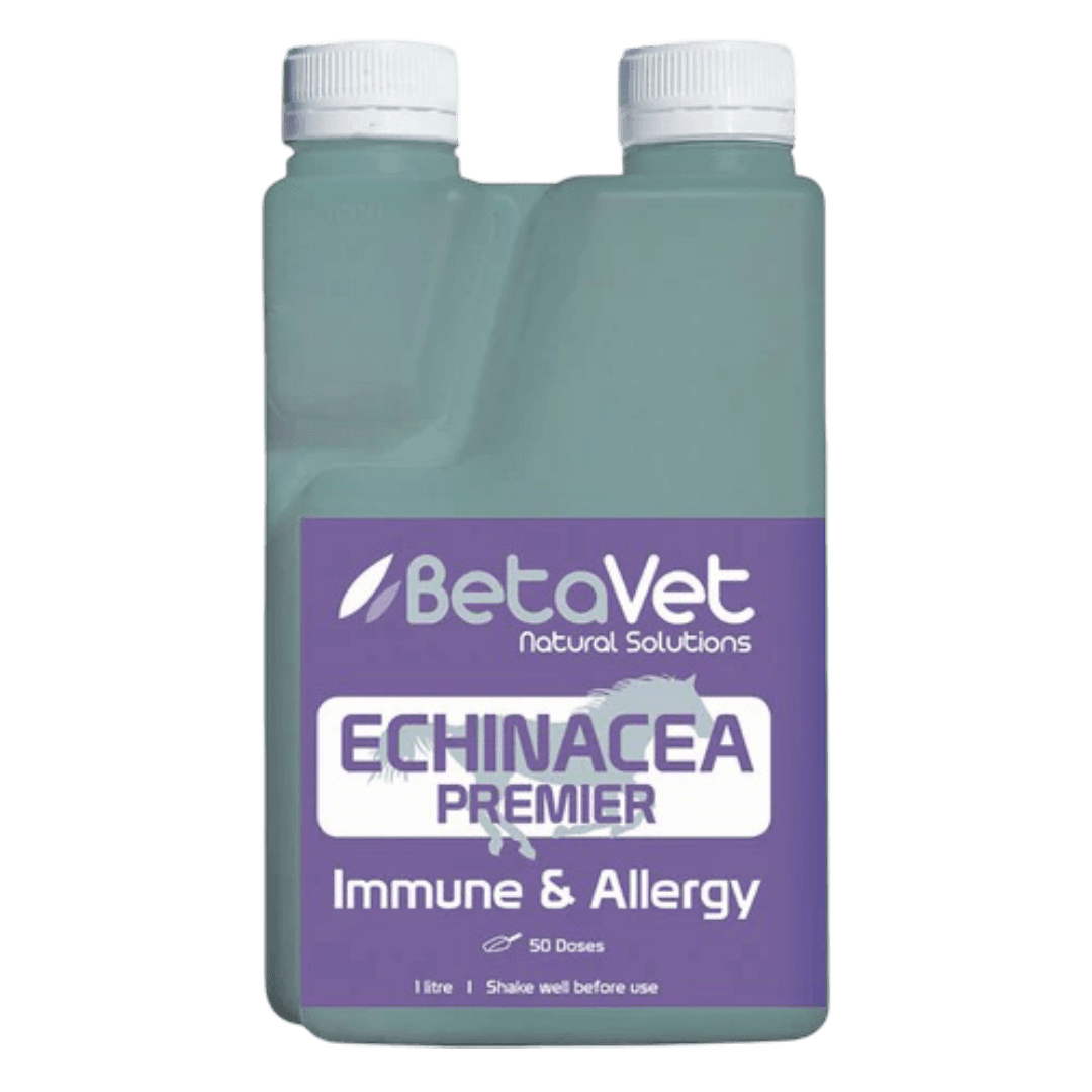 betavet-echinacea-herbal-immune-support-supplement-for-horses