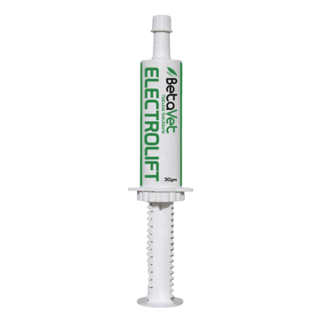 betavet-electrolift-paste-horse-supplement