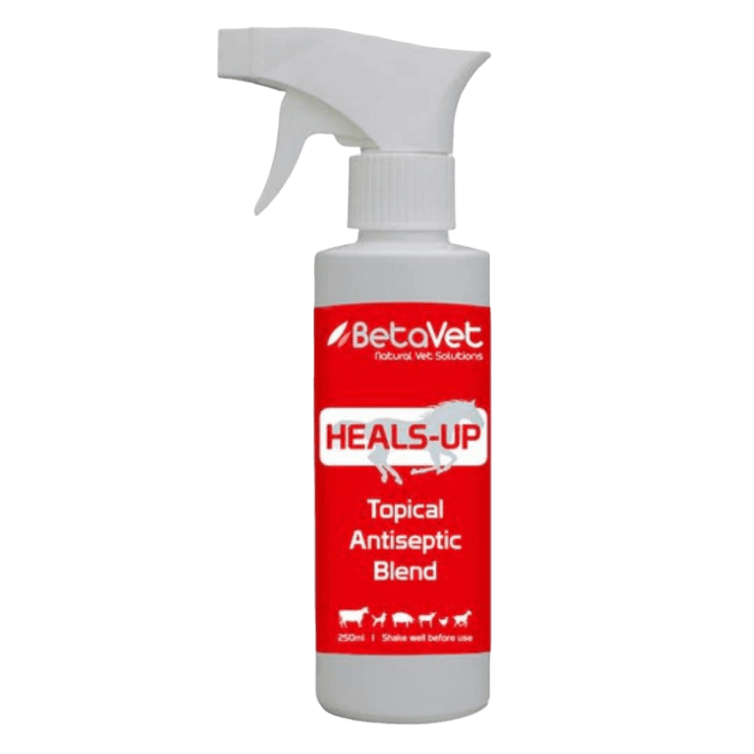 betavet-heals-up-topical-antiseptic-blend-for-horses