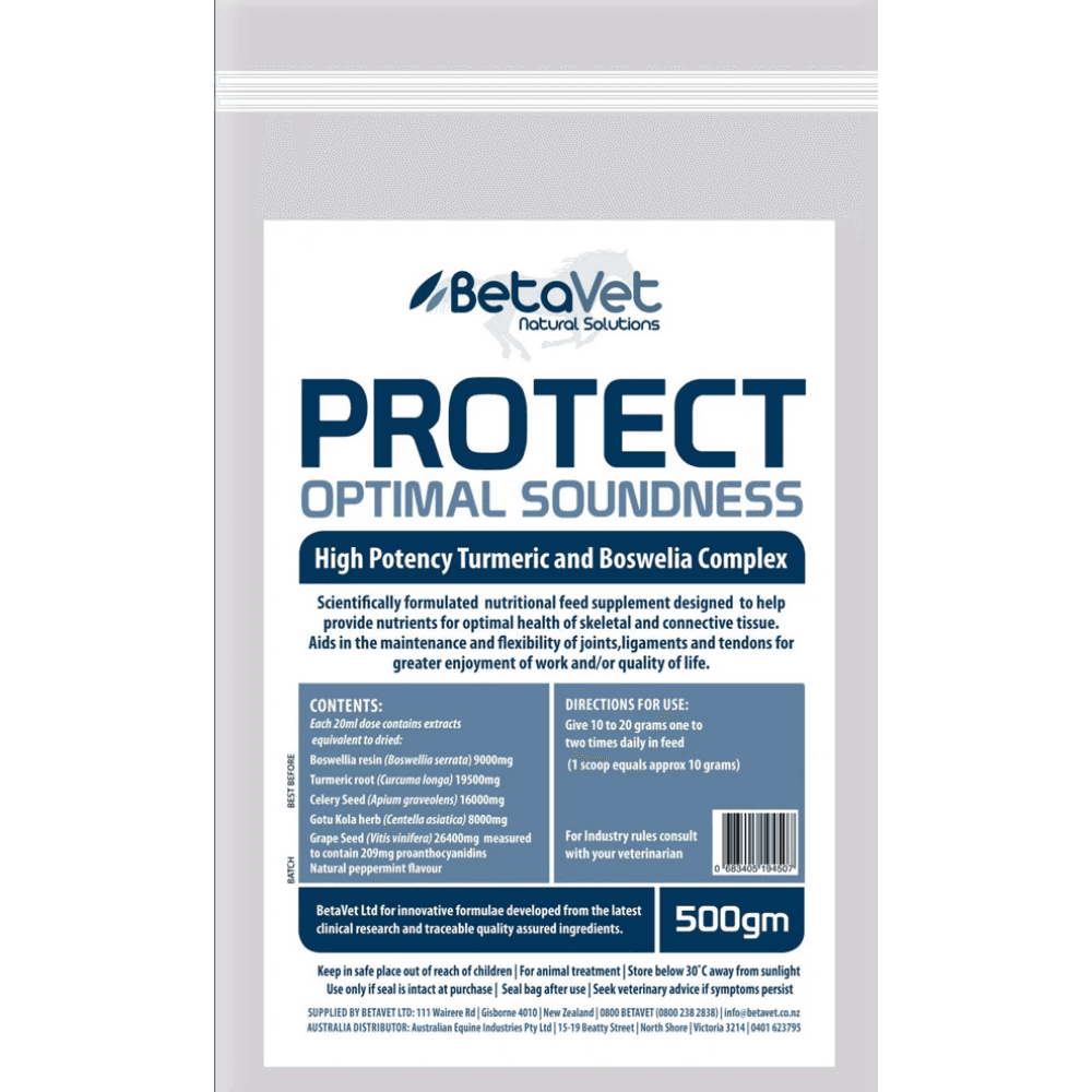 betavet-protect-tumeric-and-boswelia-complex-supplement-for-horses