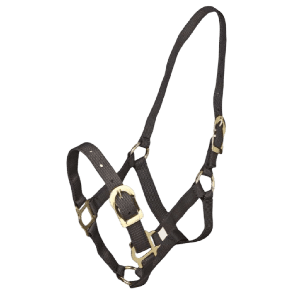 Headstall Picador PP Horse Halter In Black