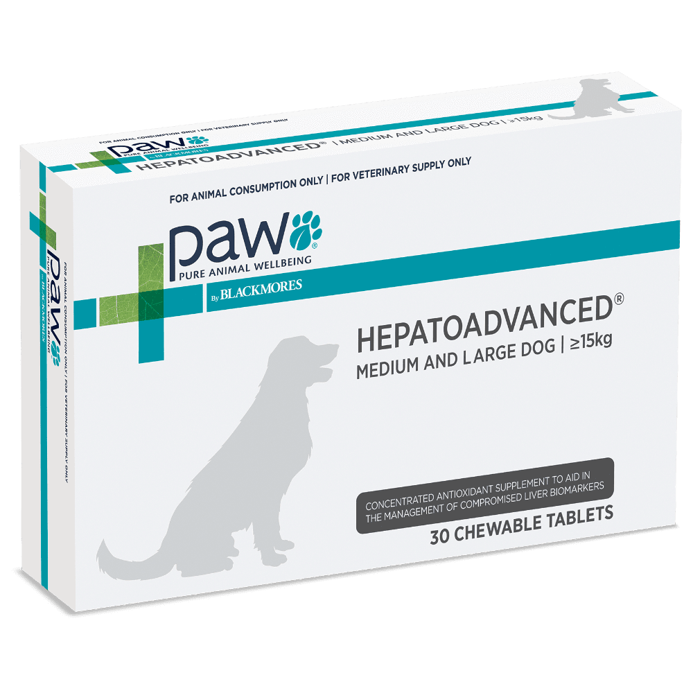paw-hepatoadvanced-medium-and-large-dog