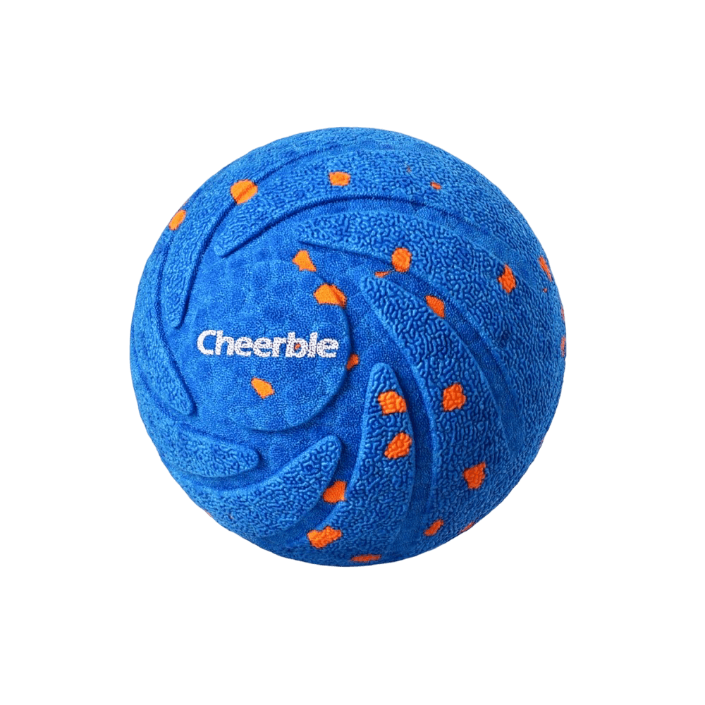 Wicked Ball Air Dog Toy Royal Blue