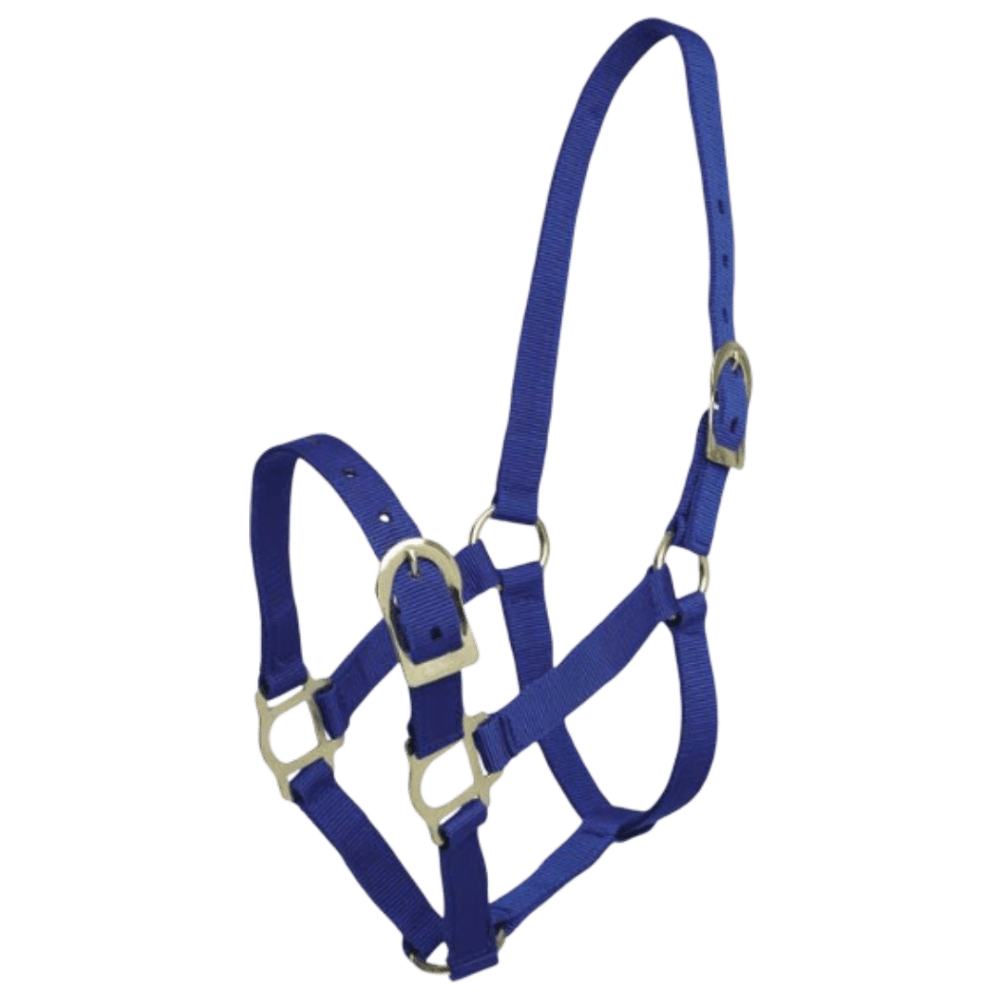 zilco-headstall-picador-pp-horse-halter-in-blue