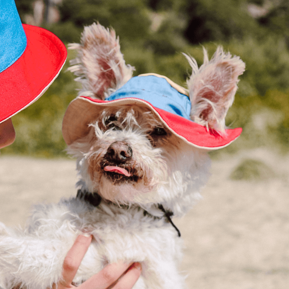 Bois The Label 90s Colorblock Reversible Dog Bucket Hat