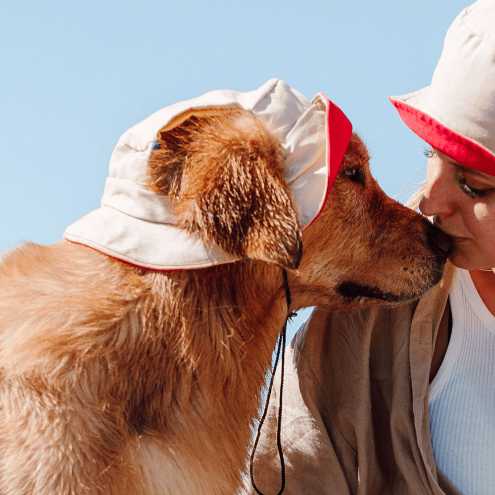 Bois The Label 90s Colorblock Reversible Dog Bucket Hat