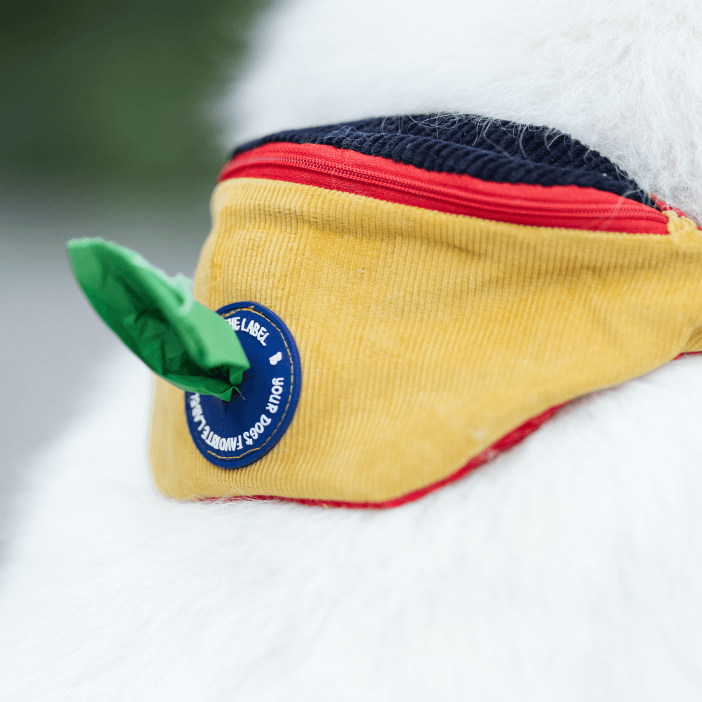 Bois The Label 90s Corduroy Doggy Bumbag