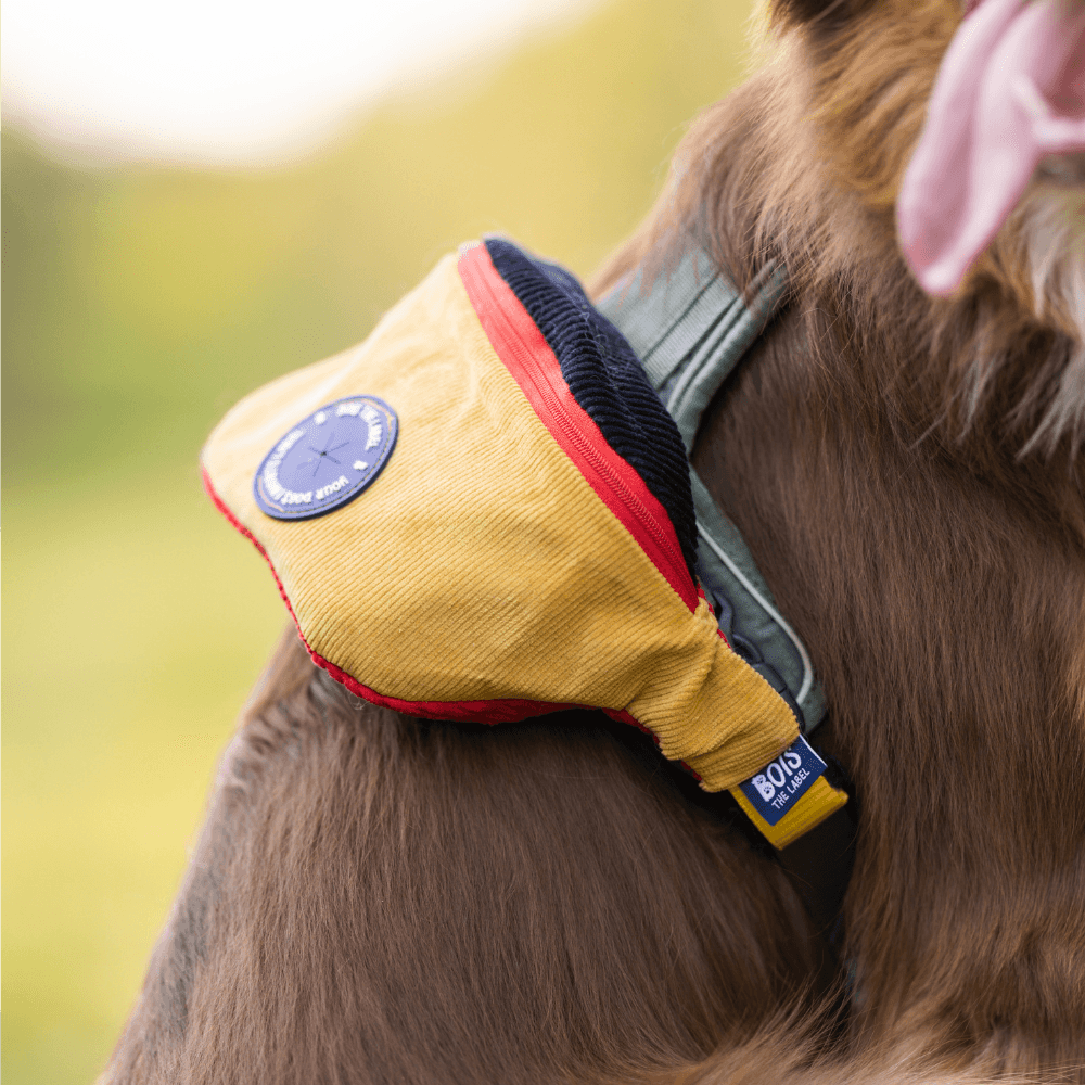Bois The Label 90s Corduroy Doggy Bumbag